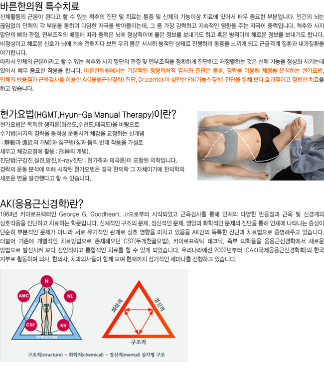 �ٸ����ǿ� Ư��ġ��. �������(HGMT)�̶�? AK(����ٽŰ���)��?