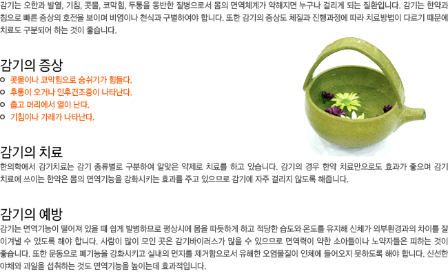 ������ ����. ������ ġ��. ������ ����